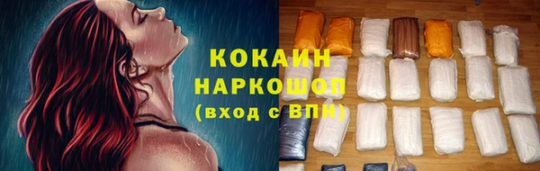 индика Абаза