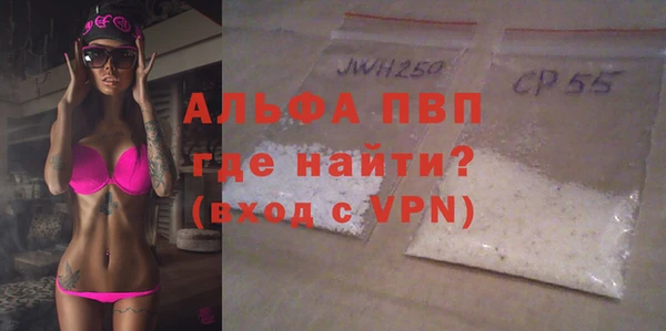 индика Абаза