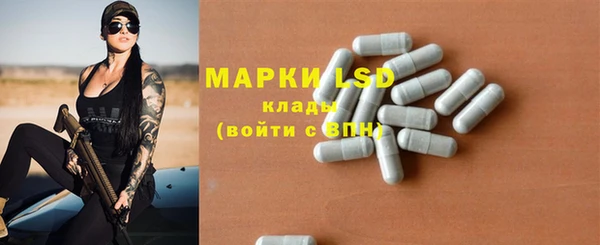 гидра Михайловка