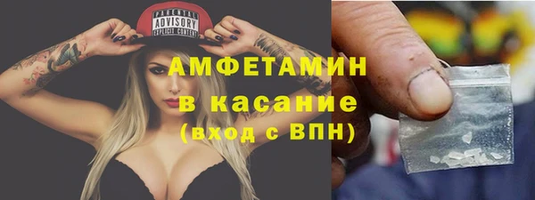 индика Абаза