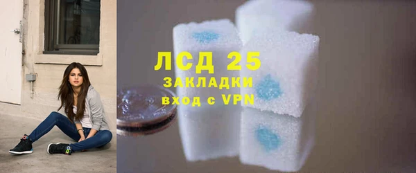 индика Абаза