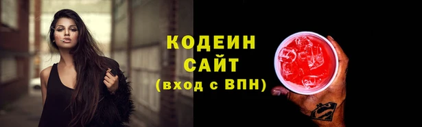 индика Абаза