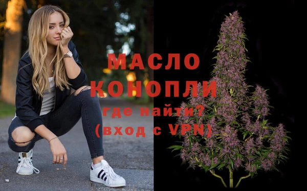 индика Абаза