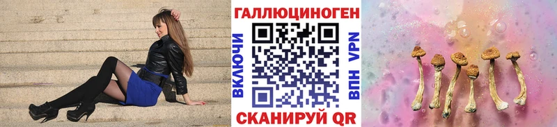 хочу наркоту  Александровск-Сахалинский  Псилоцибиновые грибы Cubensis 